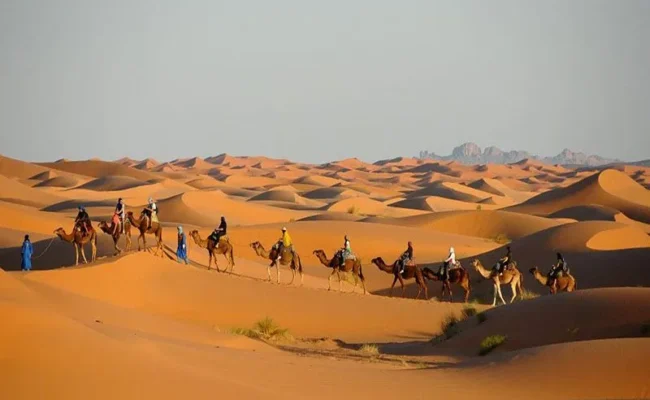sahara-desert-tours camel ride in sahara desert of morocco